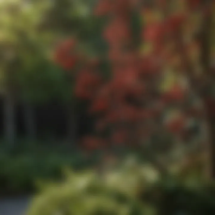 A decorative arrangement featuring small red berries in landscape design