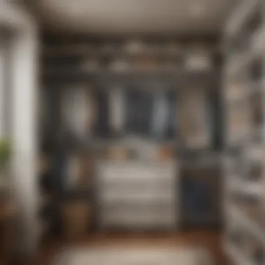 Well-organized closet with labeled bins and space-saving hangers