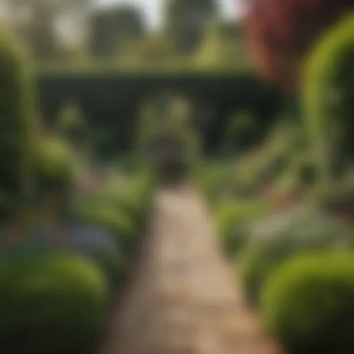 A beautifully manicured English garden showcasing a variety of plants and flowers