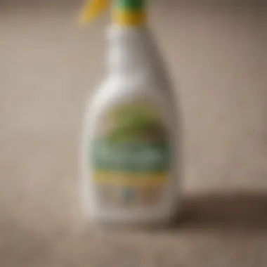 Eco-Friendly Carpet Cleaner Options A close-up of a carpet cleaner bottle with a label highlighting eco-friendly ingredients