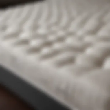 Understanding Mattress Fabrics An illustration showing various types of mattress fabrics and their cleaning requirements
