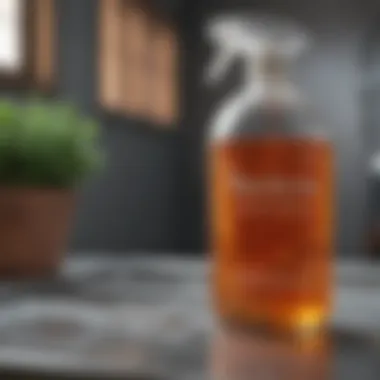 Odor Neutralization with Vinegar Visual representation of odor elimination techniques using vinegar