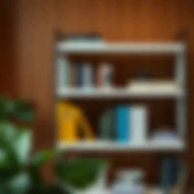 The Umbra Bookshelf: A Comprehensive Exploration Summary The Umbra Bookshelf: A Comprehensive Exploration Summary