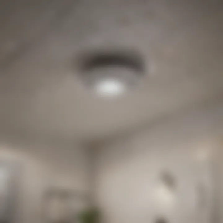 Infographic outlining preventative measures for ceiling maintenance