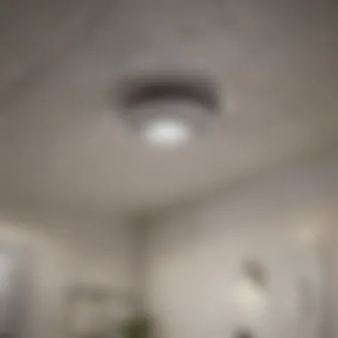 Preventative Measures for Ceiling Maintenance Infographic outlining preventative measures for ceiling maintenance