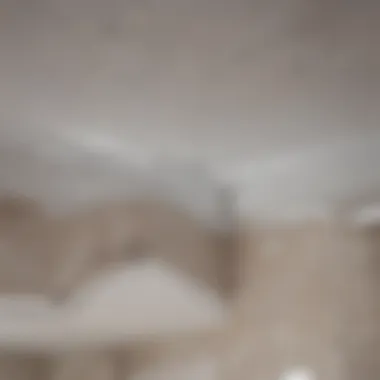 Before and after images showcasing ceiling repair solutions
