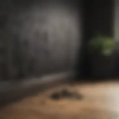 Health risks associated with black mold exposure