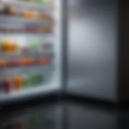 An overview of a refrigerator with visible water pooling underneath