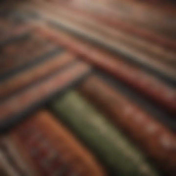 Illustration of various carpet types and their characteristics