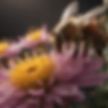 Close-up of bees pollinating flowers