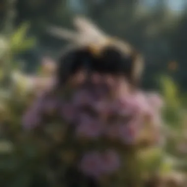 Natural Habitat of Black Bees A pristine natural habitat that supports black bee populations.