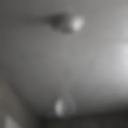 Close-up of water dripping from ceiling plaster