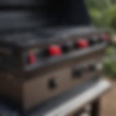 Highlighting the electric starting mechanism of the grill