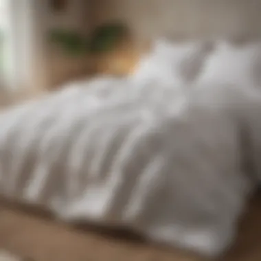Variety of summer comforter types displayed